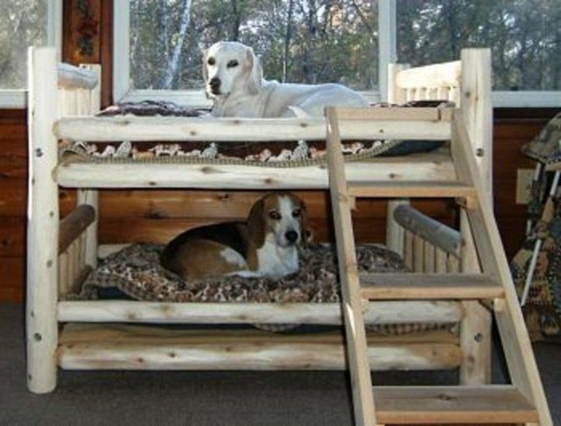 dog ate stuffing out of bed