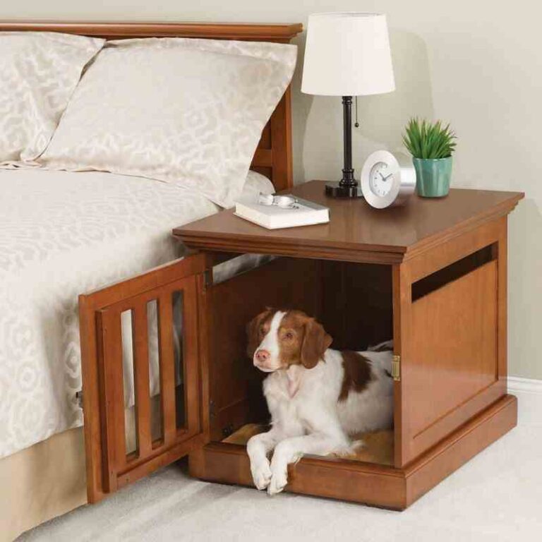 Dog bed design ideas