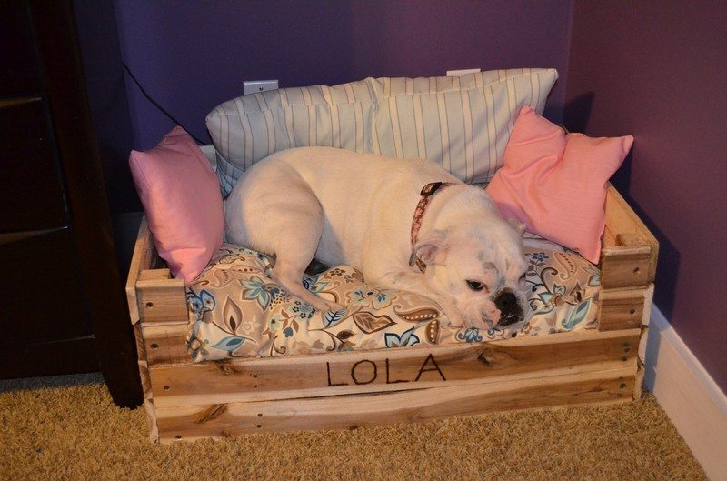 15-creative-dog-bed-design-ideas-home-design-and-interior