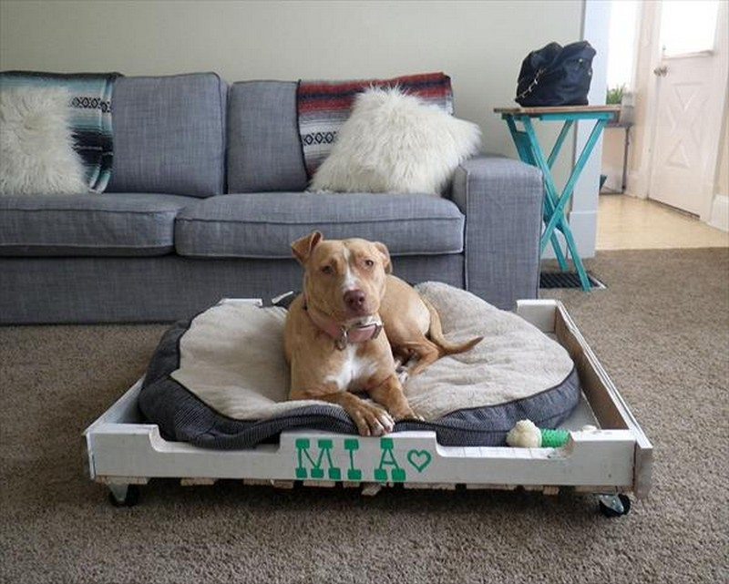 Dog bed design ideas