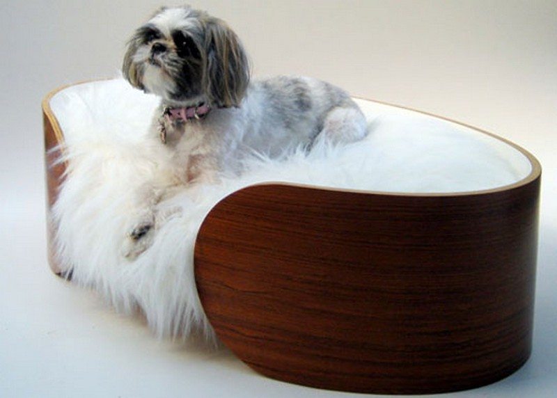 Dog bed design ideas