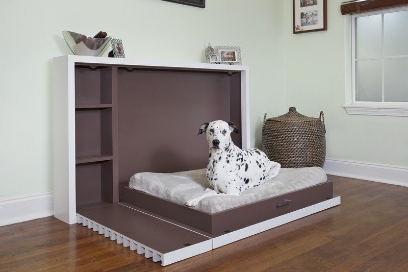 Dog bed design ideas