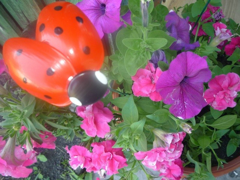 Garden Ladybug Made From Plastic Spoons
