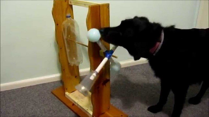 Spinning Plastic Bottle Dog Treat Game