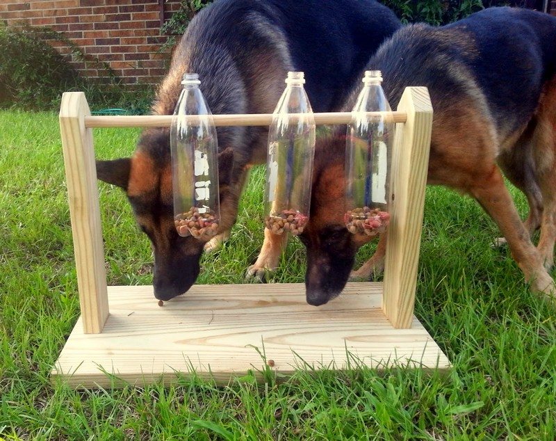 Spinning Plastic Bottle Dog Treat Game