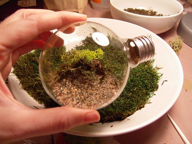 Lightbulb Terrarium