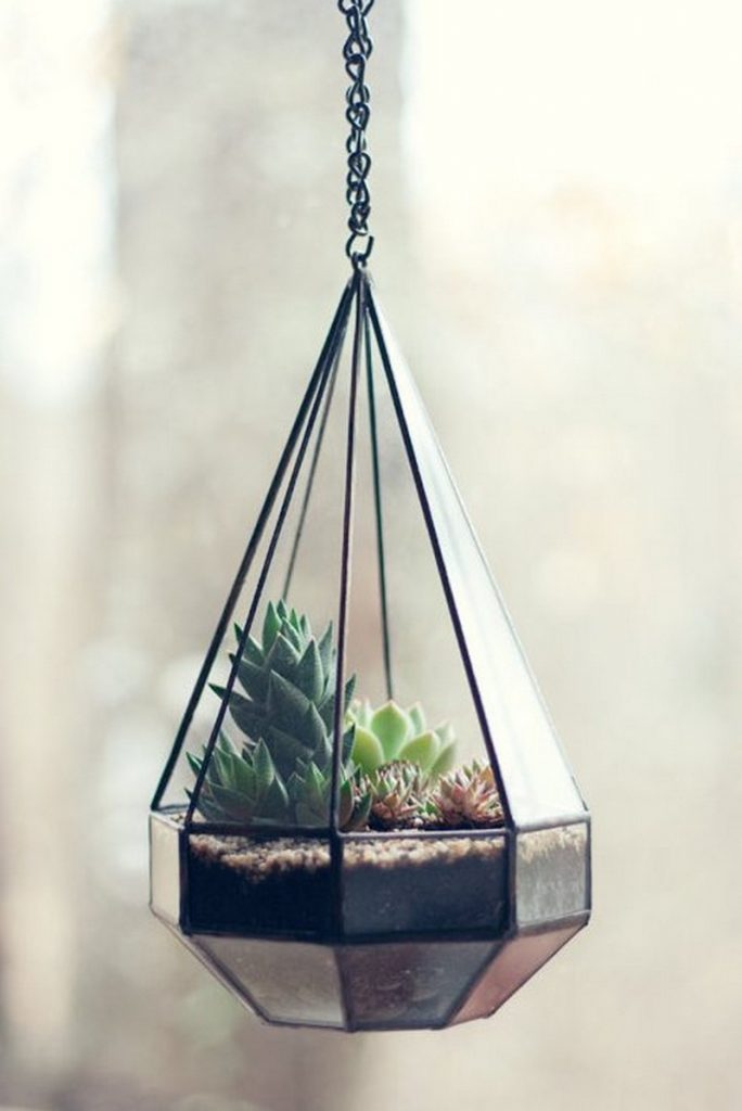 Score and Solder Terrarium
