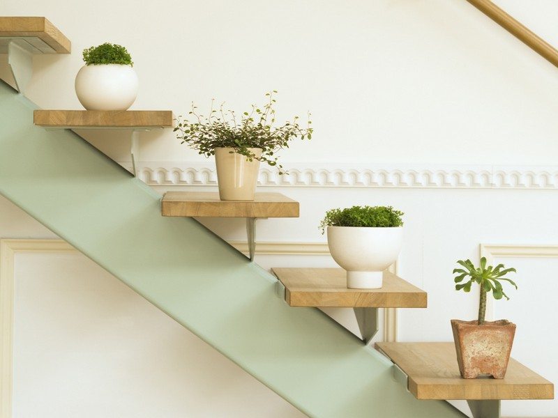 Amazing Ways to Display Indoor Plants