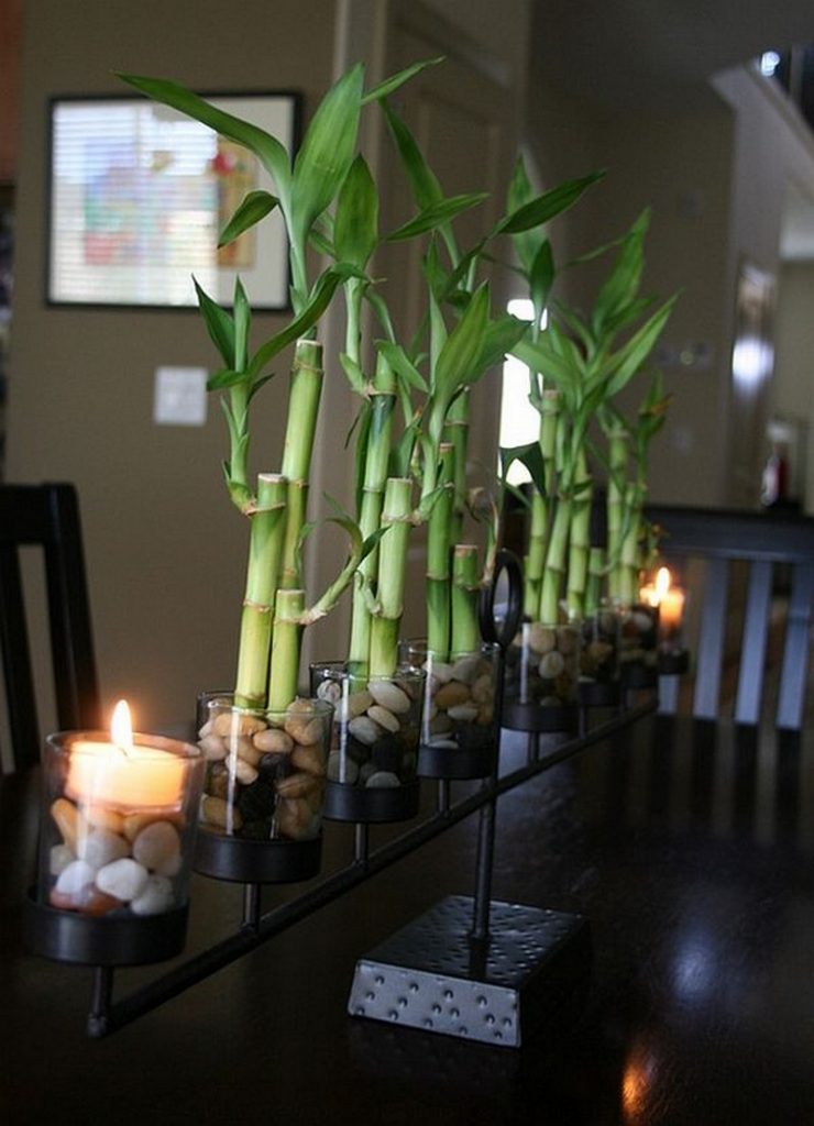 Amazing Ways to Display Indoor Plants