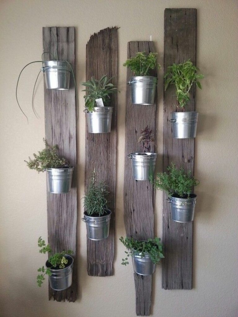 Amazing Ways to Display Indoor Plants