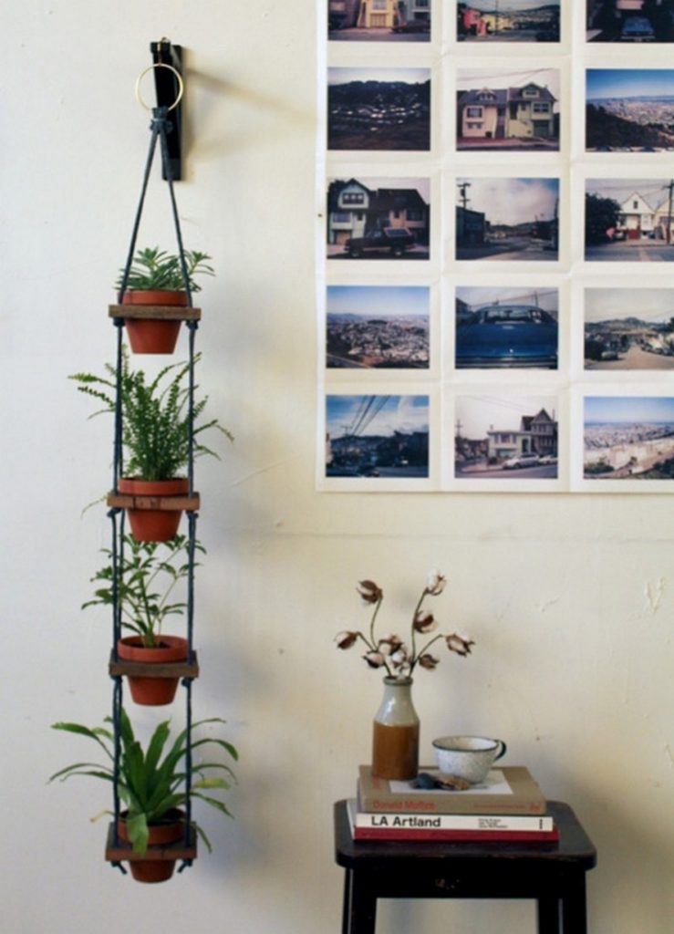 Amazing Ways to Display Indoor Plants