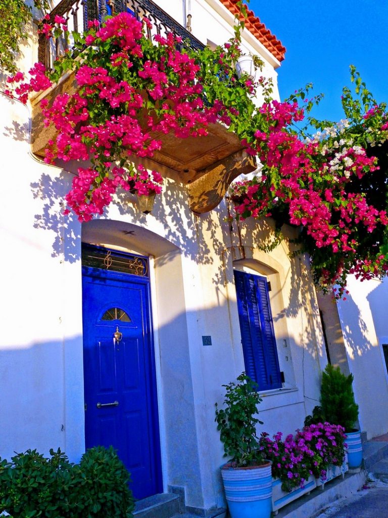 Balcony Gardens