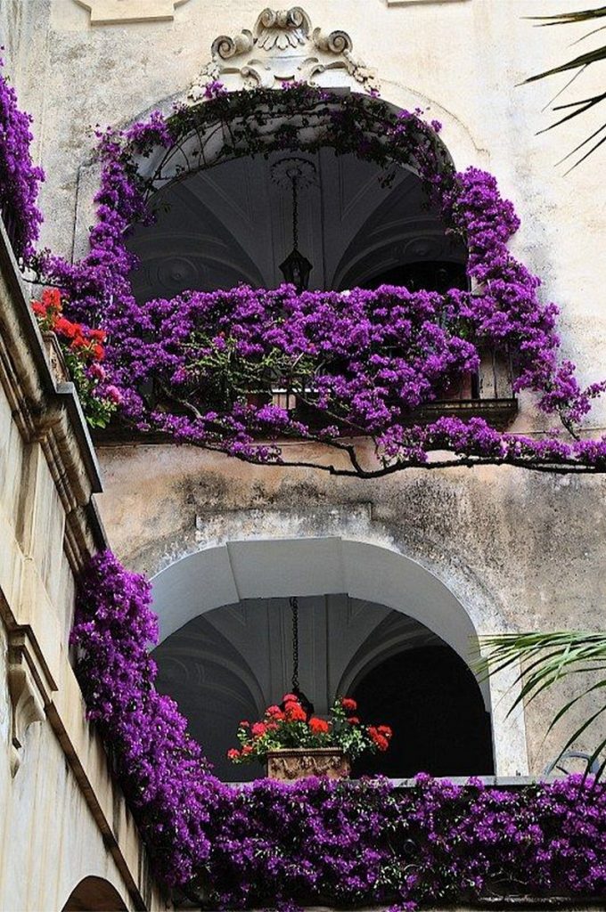 Balcony Gardens