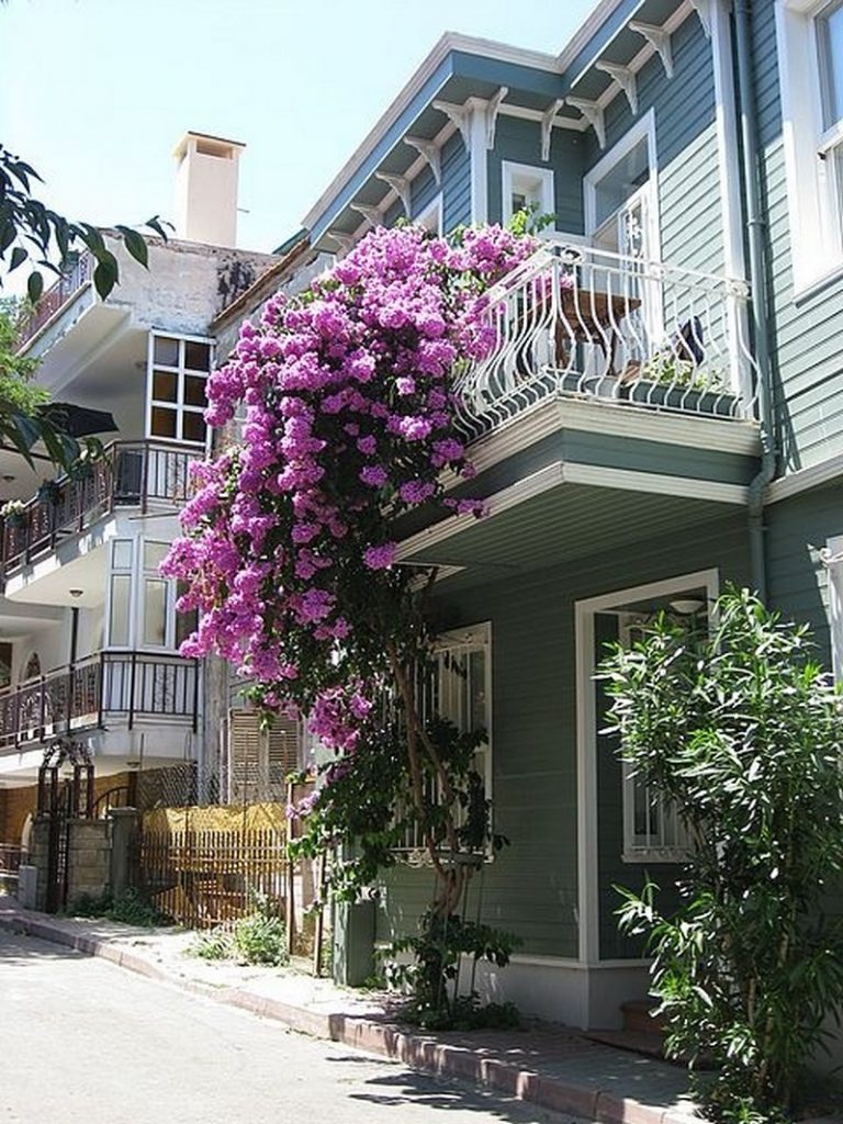 Balcony Gardens