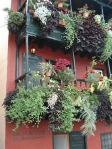 Must-See Colorful Balcony Gardens - The Owner-Builder Network