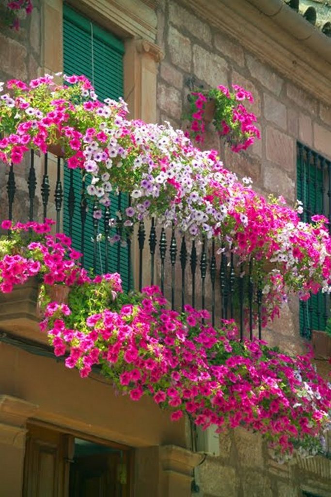 Balcony Gardens