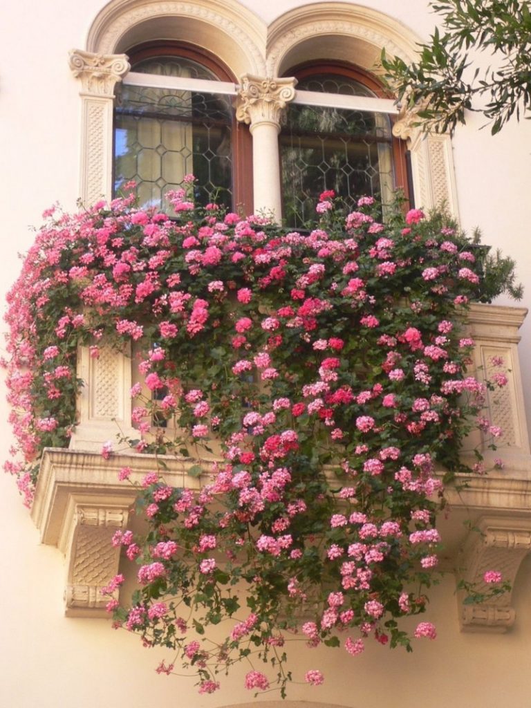 Balcony Gardens