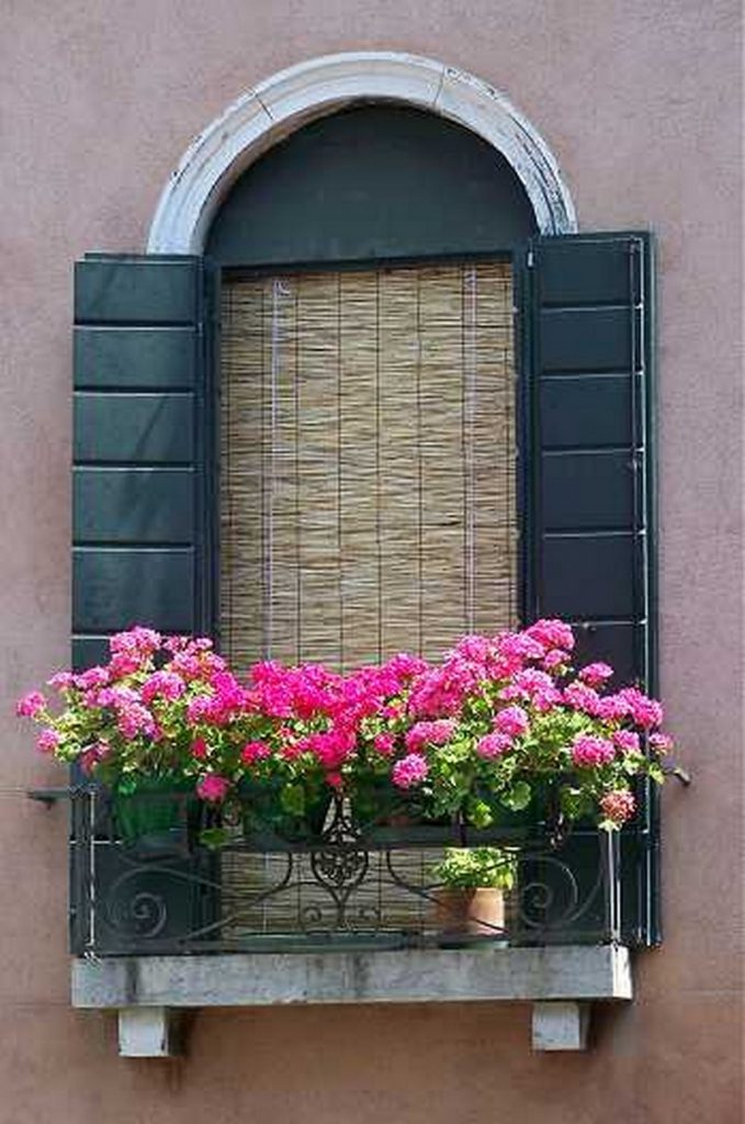 Balcony Gardens