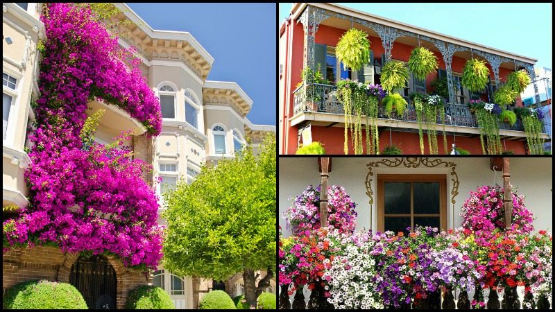 Balcony Gardens