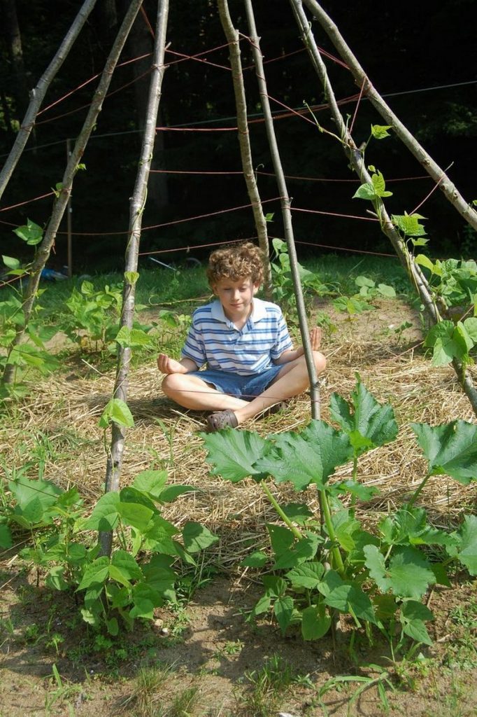 Living Playhouse