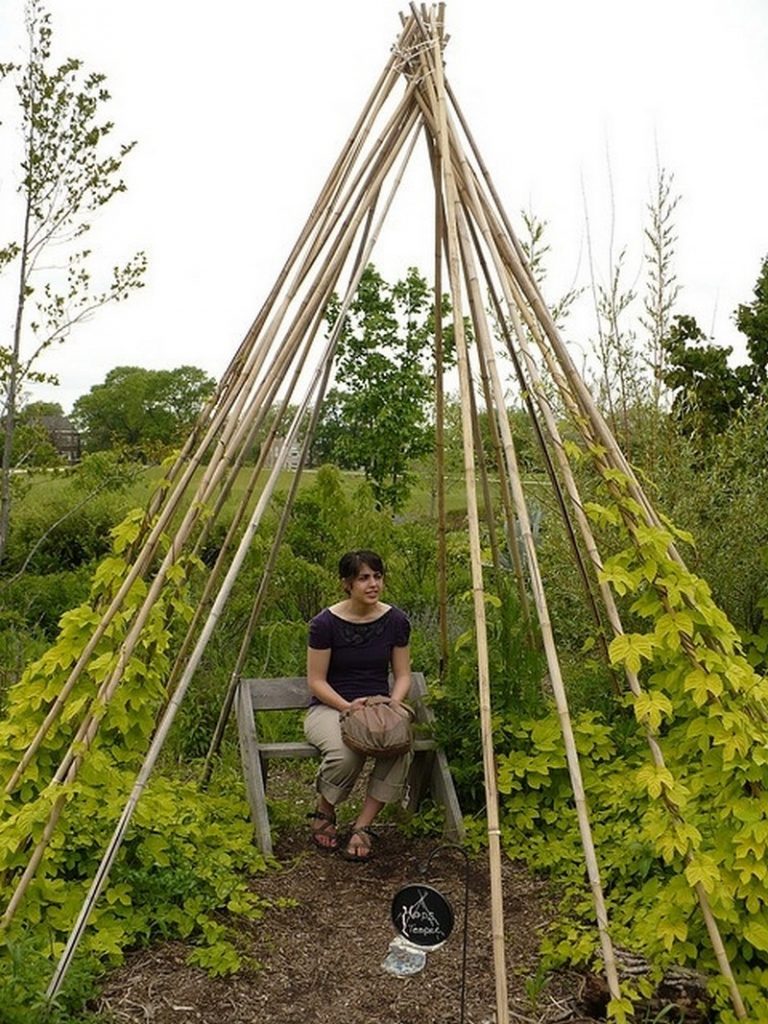 Living Playhouse