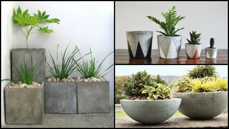 DIY Concrete Planters