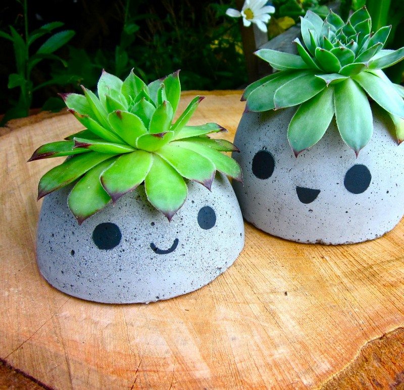 DIY Concrete Planters