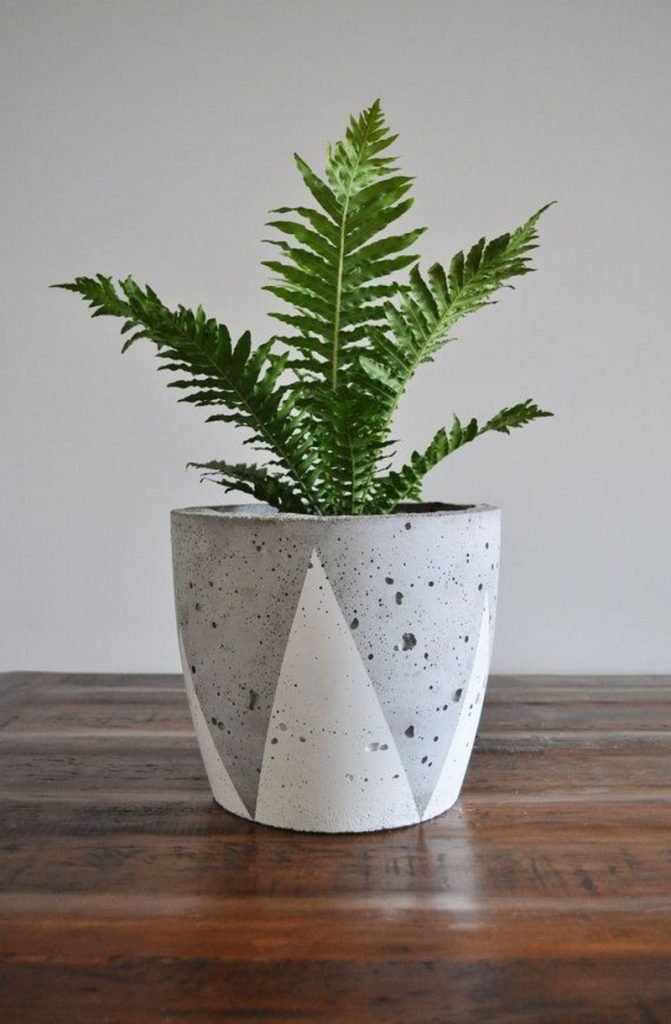 DIY Concrete Planters