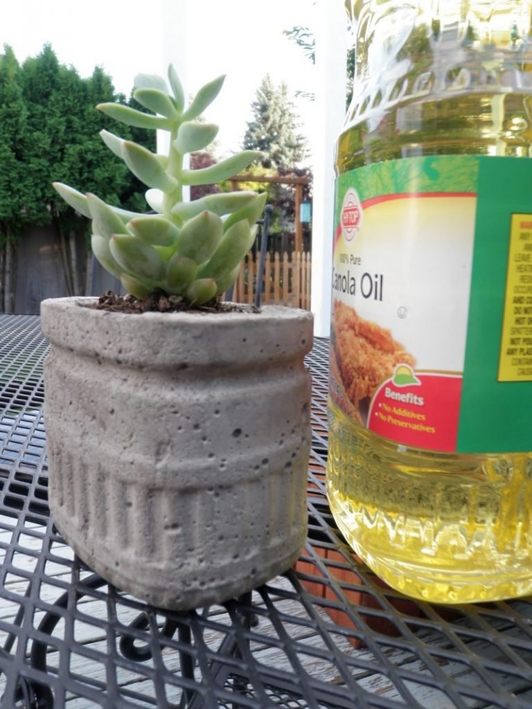 DIY Concrete Planters