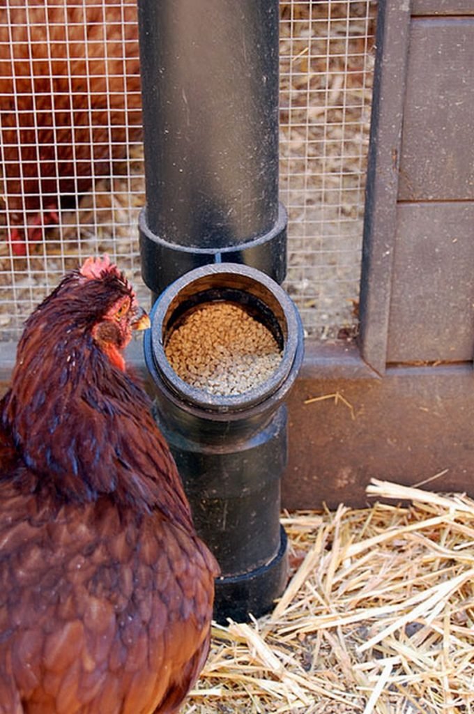 DIY PVC Chicken Feeder