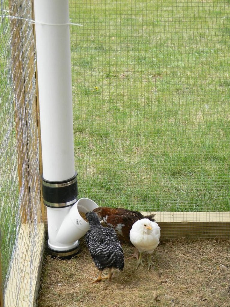 DIY PVC Chicken Feeder