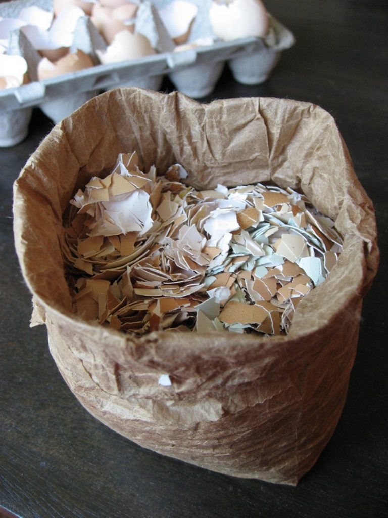 Eggshell Uses