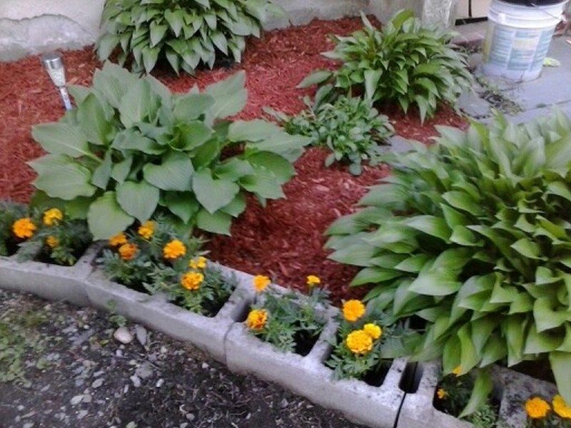 Concrete Block Raised Bed Garden Cinder Block Raised Bed Organic