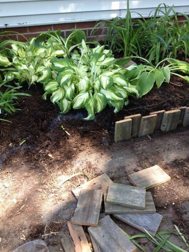 Garden Bed Edging Ideas