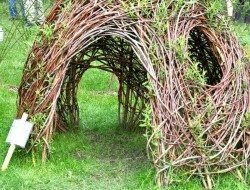 Living outdoor willow structures you can grow in your backyard | The ...