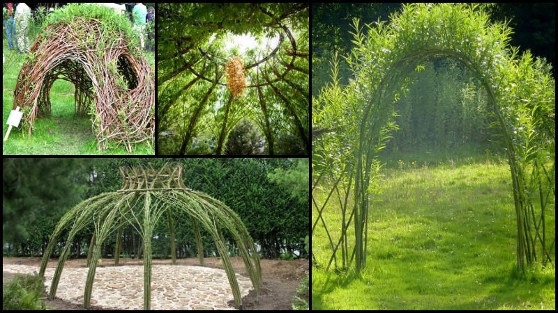 Living outdoor willow structures you can grow in your backyard