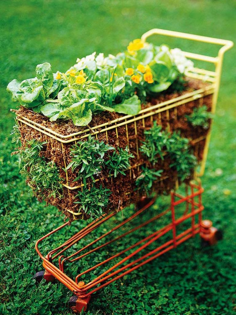 Planters on Wheels