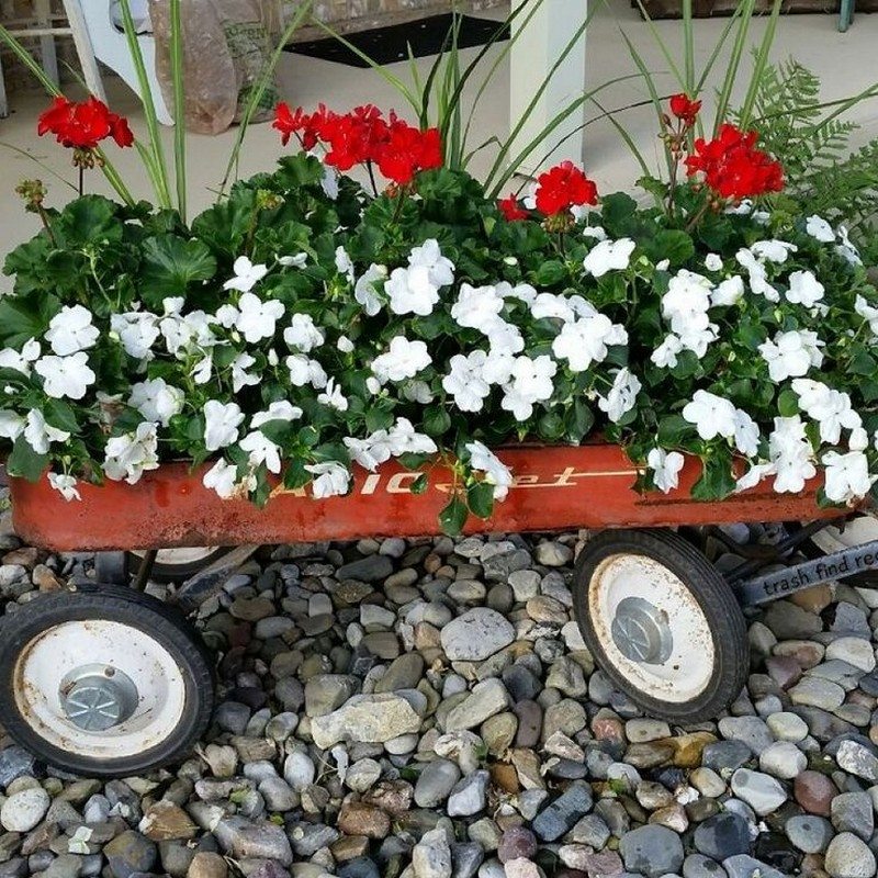 Planters on Wheels