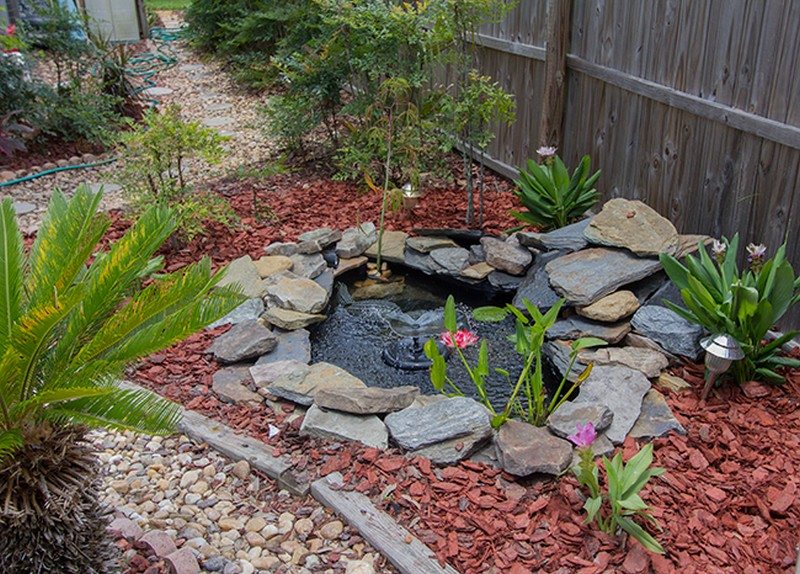 Backyard Ponds and Aquariums