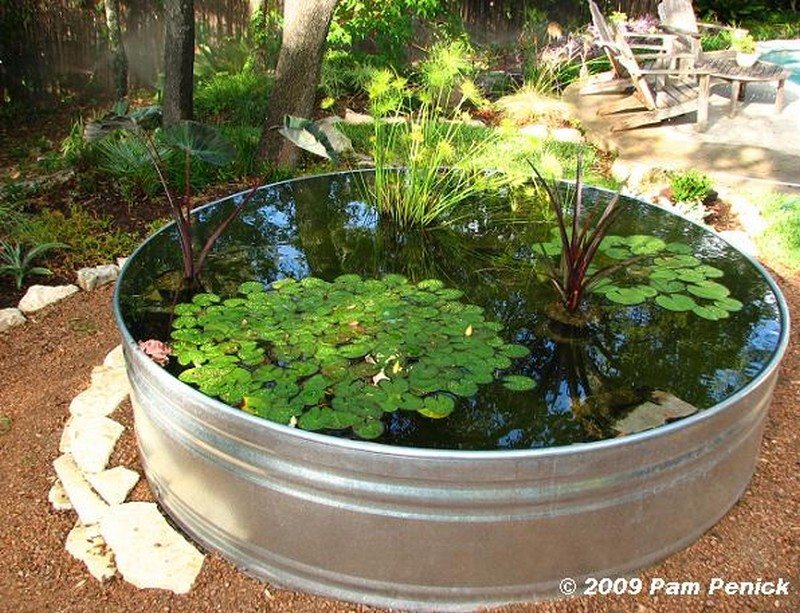 Awesome aquarium and fish pond ideas for your backyard ...