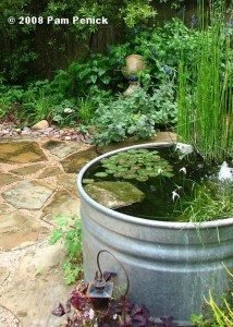 8 Awesome Aquarium and Fish Pond Ideas for Your Backyard