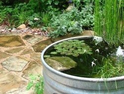 Awesome aquarium and fish pond ideas for your backyard | The Owner ...