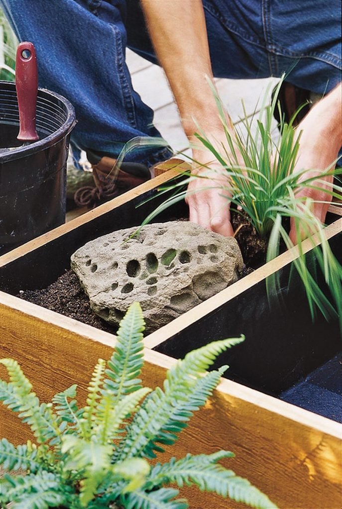 Backyard Ponds and Aquariums