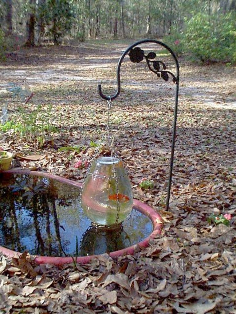 Backyard Ponds and Aquariums