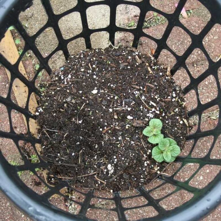 Potato Planters