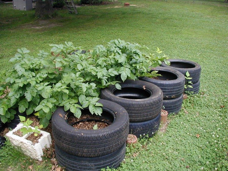 Potato Planter Bags for Growing Potatoes Outdoor Vertical Garden