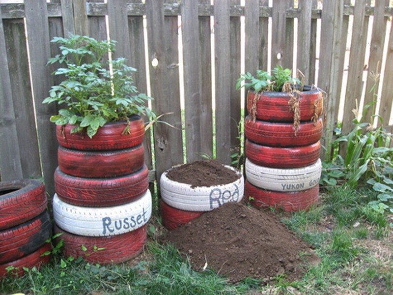 eight and a half ‘no dig’ ways to grow the humble spud!