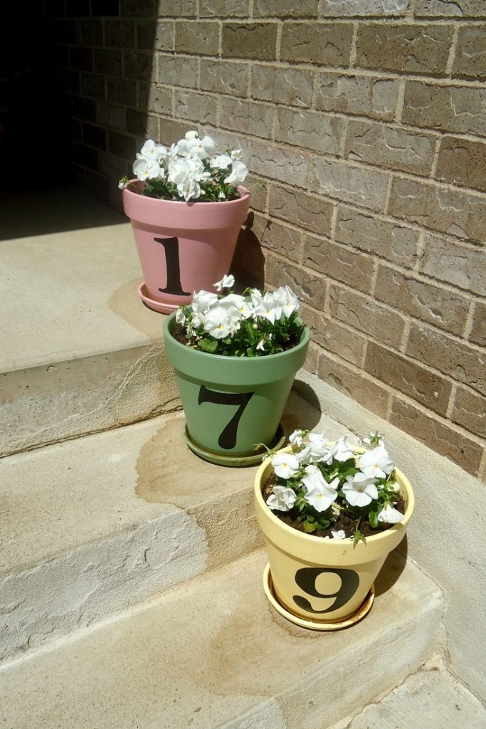 Terra Cotta Pot Projects Example