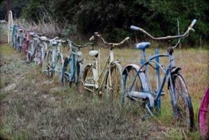 Fence Ideas