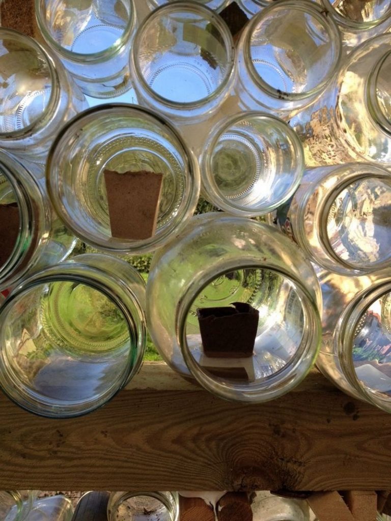 Glass Jar Greenhouse